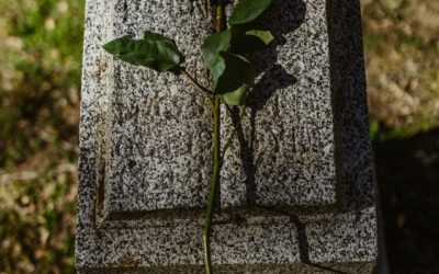 Jim Thorpe’s Body Stays in Jim Thorpe