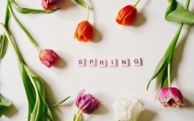 Spring Cleaning -Time to Review Your Estate Plan