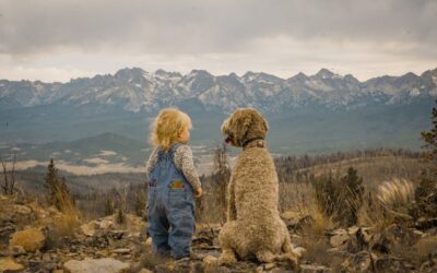 Never Name These as Your Beneficiary